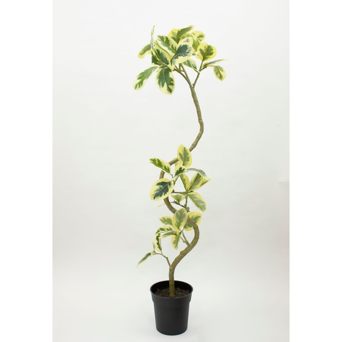 特価◎【直送】【人工観葉植物】ビダヤコム/Planecoツイストアルテシマポット/VR22038-185G/W※返品代引キャンセル不可