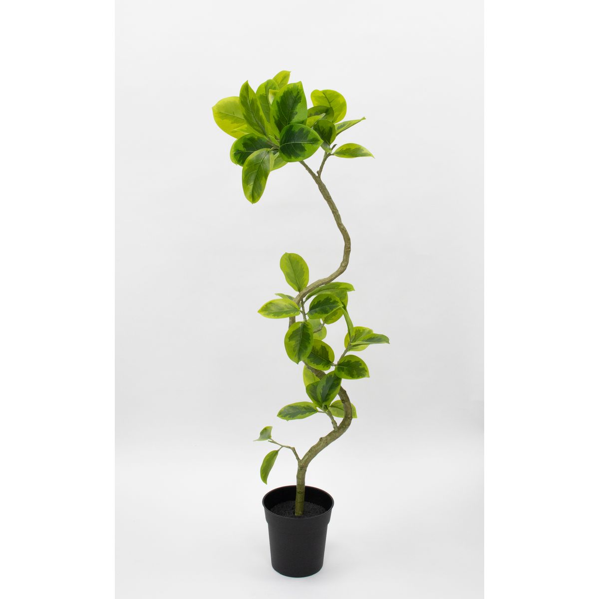 特価◎【直送】【人工観葉植物】ビダヤコム/Planecoツイストアルテシマポット/VR23050-0822T/G※返品代引キャンセル不可