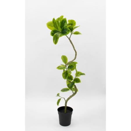 特価◎【直送】【人工観葉植物】ビダヤコム/Planecoツイストアルテシマポット/VR23050-0822T/G※返品代引キャンセル不可