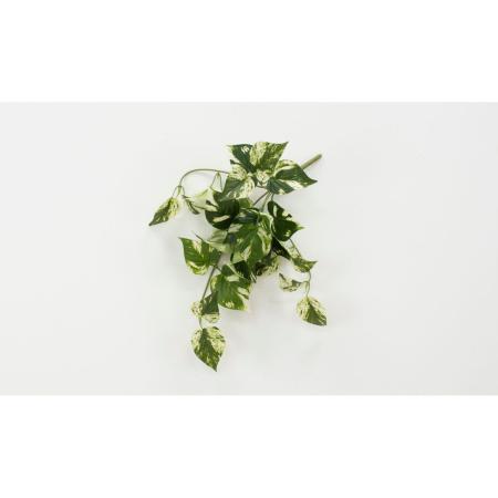 特価◎【造花】ビダヤコム/Planeco ポトスバイン グリーン/ホワイト/VR23093-185G/W