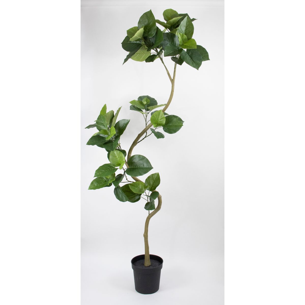 特価◎【直送】【人工観葉植物】ビダヤコム/Planecoツイストウンベラータポット組立式/VR23099-024G※返品代引キャンセル不可