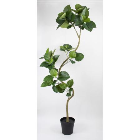 特価◎【直送】【人工観葉植物】ビダヤコム/Planecoツイストウンベラータポット組立式/VR23099-024G※返品代引キャンセル不可