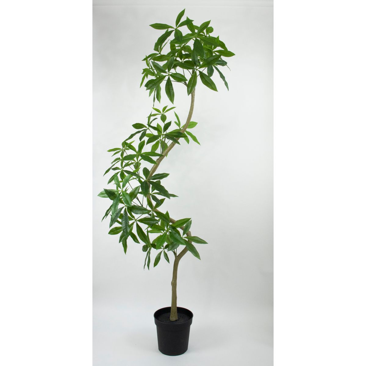 特価◎【直送】【人工観葉植物】ビダヤコム/Planeco ツイストパキラポット(組立式)/VR23101-024G ※返品代引キャンセル不可