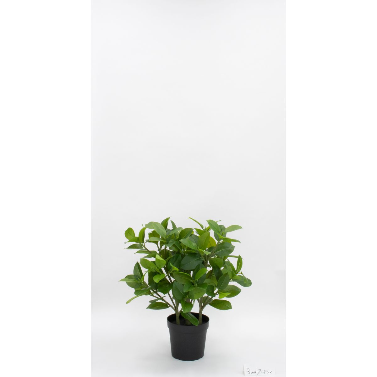 特価◎【直送】【人工観葉植物】ビダヤコム/Planecoフィカスソフィアポット3WAY/VR23107-024G※返品代引キャンセル不可