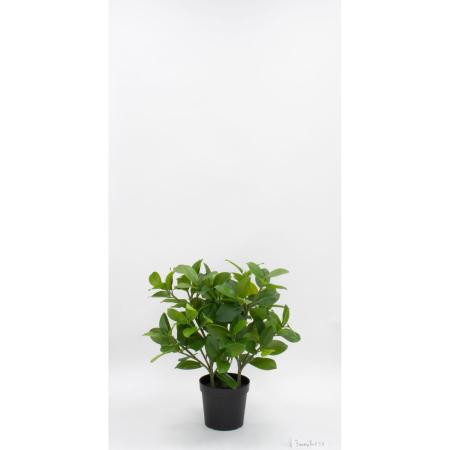特価◎【直送】【人工観葉植物】ビダヤコム/Planecoフィカスソフィアポット3WAY/VR23107-024G※返品代引キャンセル不可