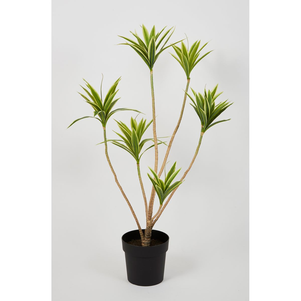 特価◎【直送】【人工観葉植物】ビダヤコム/Planeco ドラセナレフレクサポット/VR24018-024G ※返品代引キャンセル不可
