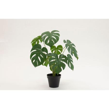 特価◎【直送】【人工観葉植物】ビダヤコム/Planeco モンステラポット/VR24048-024G ※返品代引キャンセル不可
