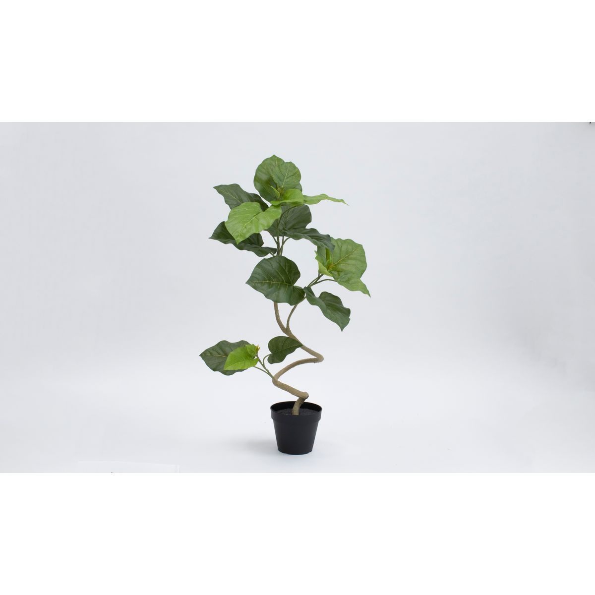 特価◎【直送】【人工観葉植物】ビダヤコム/PlanecoスパイラルウンベラータポットS/VR24051-024G※返品代引キャンセル不可