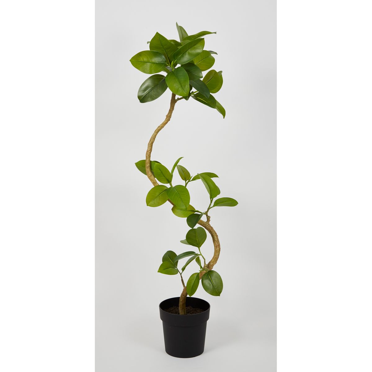特価◎【直送】【人工観葉植物】ビダヤコム/Planeco ツイストアルテシマ/VR24054-024G ※返品代引キャンセル不可