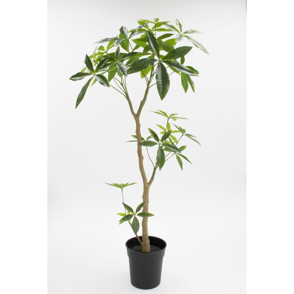 特価◎【直送】【人工観葉植物】ビダヤコム/Planeco パキラポット/VR24055-024G ※返品代引キャンセル不可