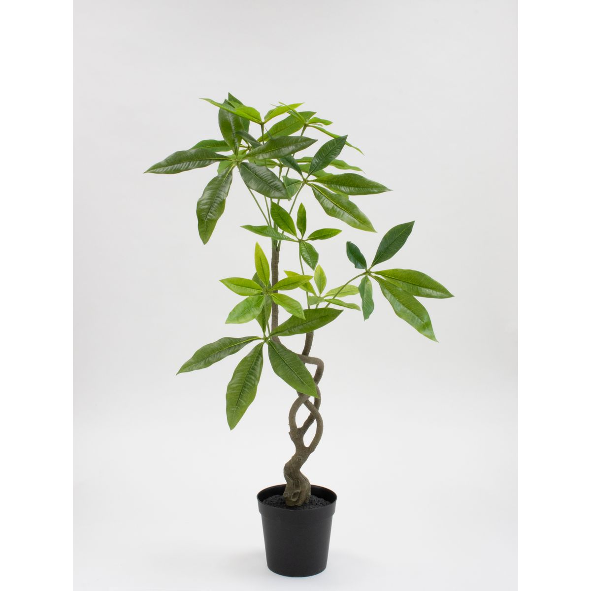 特価◎【直送】【人工観葉植物】ビダヤコム/Planeco ツイストパキラポット/VR24056-024G ※返品代引キャンセル不可