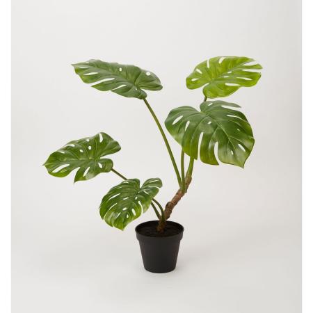 特価◎【直送】【人工観葉植物】ビダヤコム/Planeco モンステラポット/VR24057-024G ※返品代引キャンセル不可