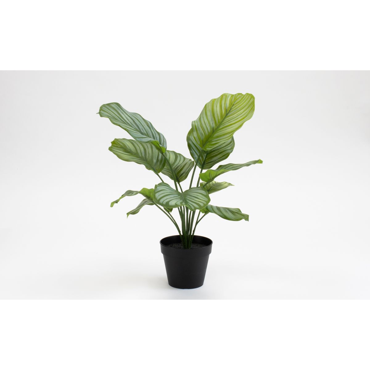 特価◎【直送】【人工観葉植物】ビダヤコム/Planeco カラテアポット/VR24059-024G ※返品代引キャンセル不可