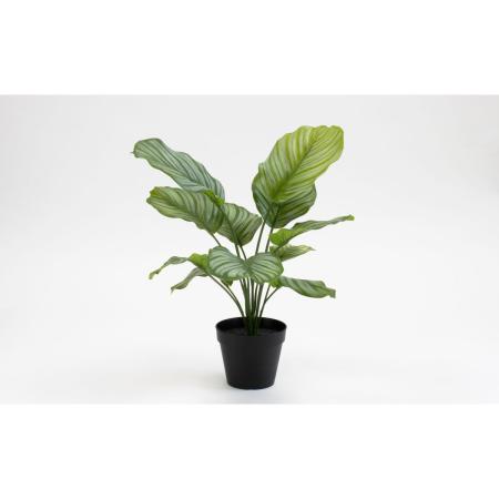 特価◎【直送】【人工観葉植物】ビダヤコム/Planeco カラテアポット/VR24059-024G ※返品代引キャンセル不可