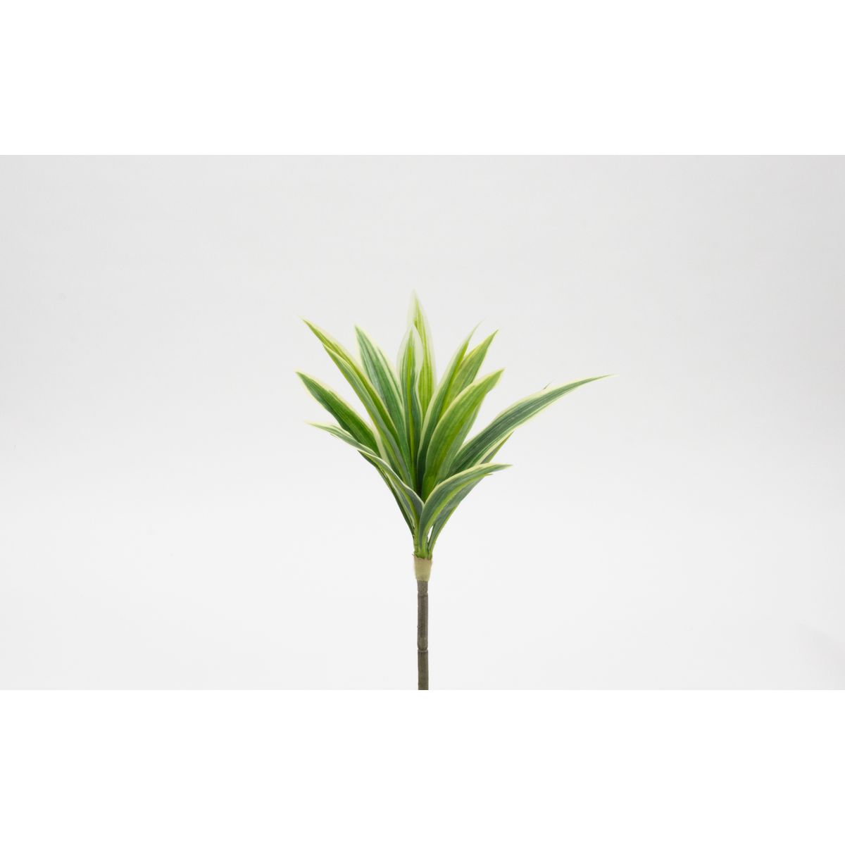 特価◎【造花】ビダヤコム/Planeco ドラセナブッシュ グリーン/VR24068-024G