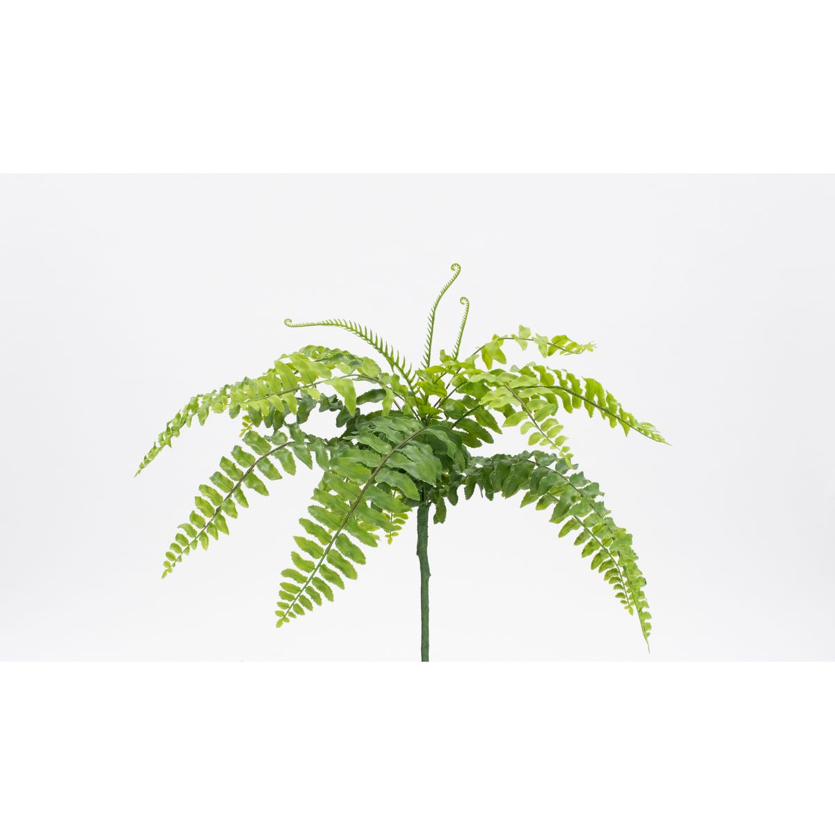 特価◎【造花】ビダヤコム/Planeco ファーンリーフブッシュ グリーン/VR24071-024G