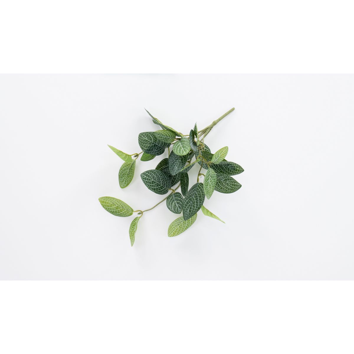 特価◎【造花】ビダヤコム/Planeco フィットニアバイン グリーン/VR24073-024G