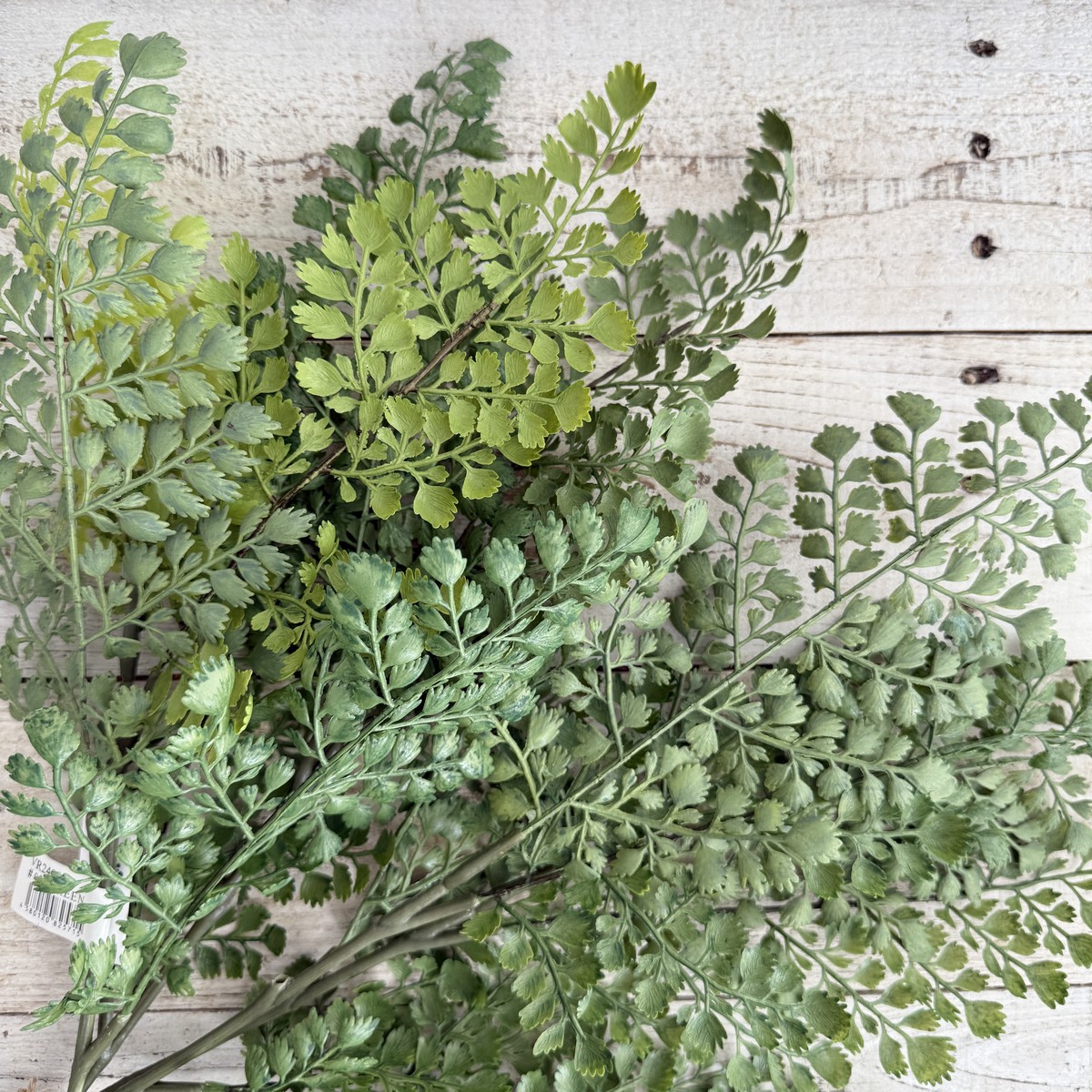 即日★【造花】ビダヤコム/Planeco アジアンタムバンドル グリーン/VR24080-024G