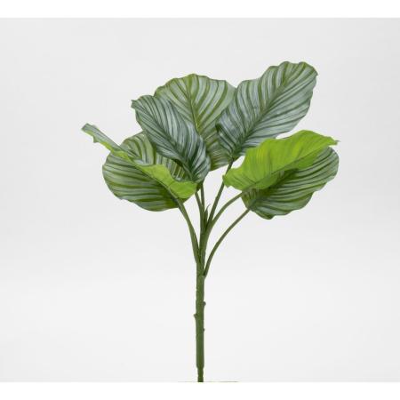 特価◎【造花】ビダヤコム/Planeco カラテアオルビフォリアブッシュ グリーン/クリーム/VR24082-172G/C