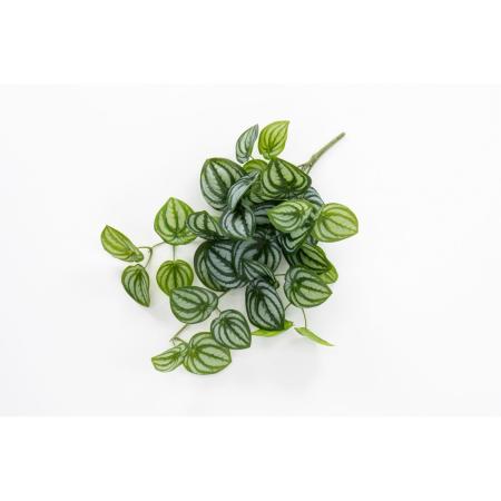 特価◎【造花】ビダヤコム/Planeco ペペロミアバイン グリーン/クリーム/VR24084-172G/C