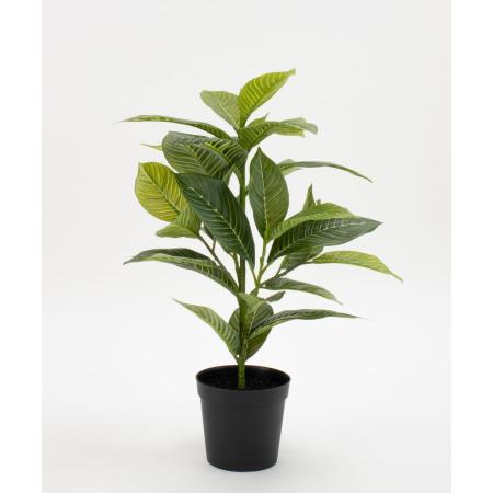 特価◎【直送】【人工観葉植物】ビダヤコム/Planeco アフェランドラポット/VR24124-024G ※返品代引キャンセル不可