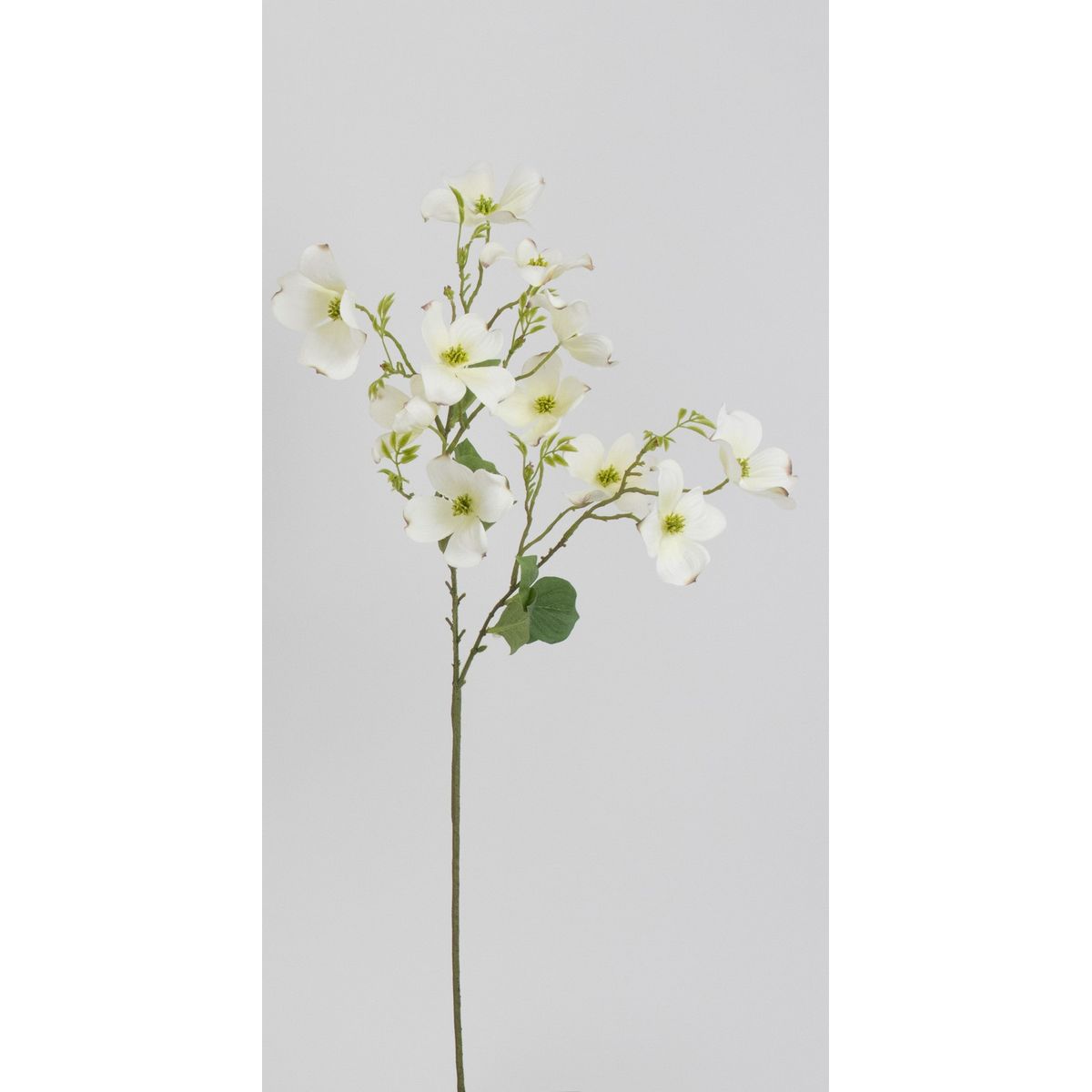 特価◎【造花】ビダヤコム/花水木 ホワイト/V26064-001W