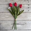 即日★【造花】ビダヤコム/ミニチューリップバンドル(3本/束) レッド/V25052-003R