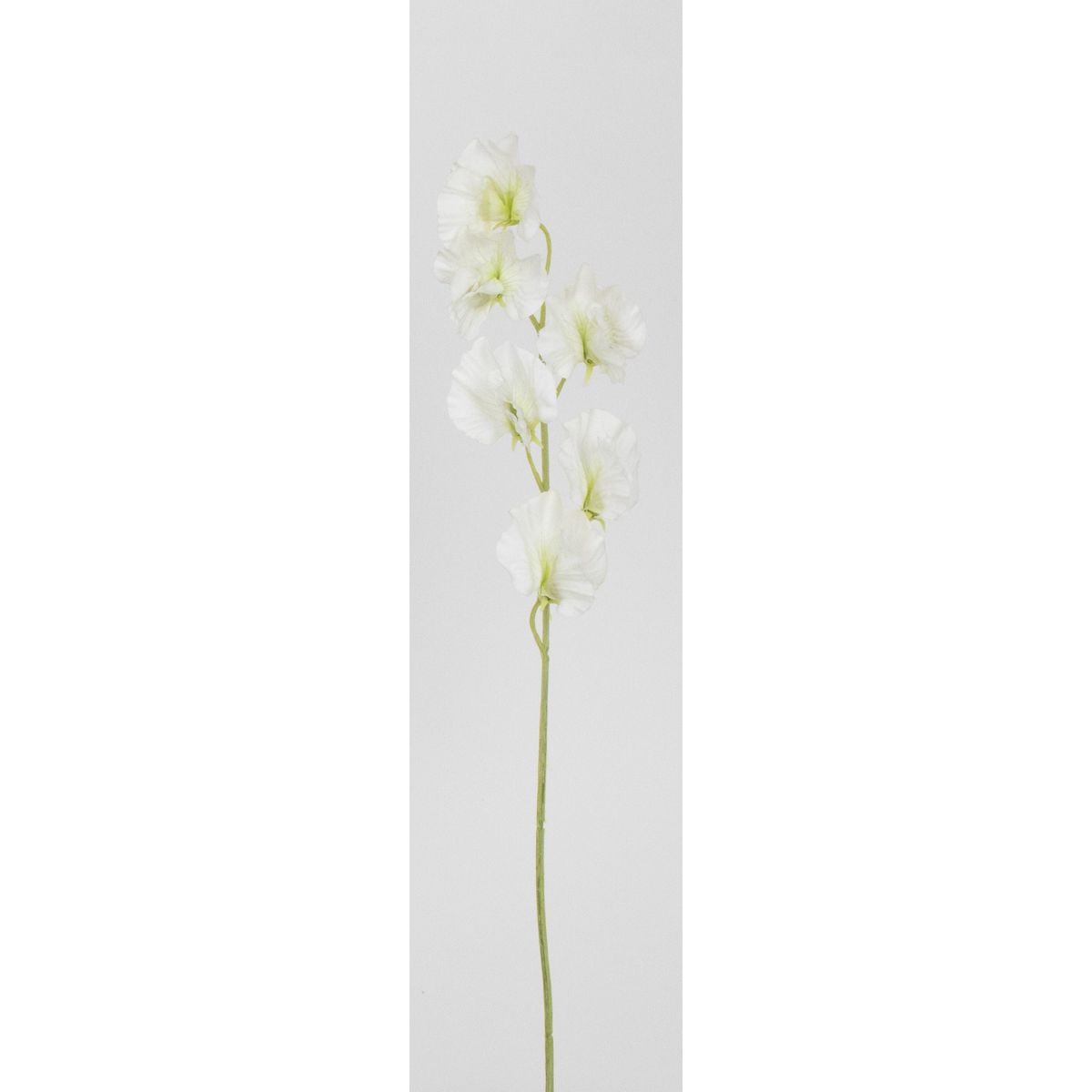 特価◎【造花】ビダヤコム/スイートピー ホワイト/V26068-001W