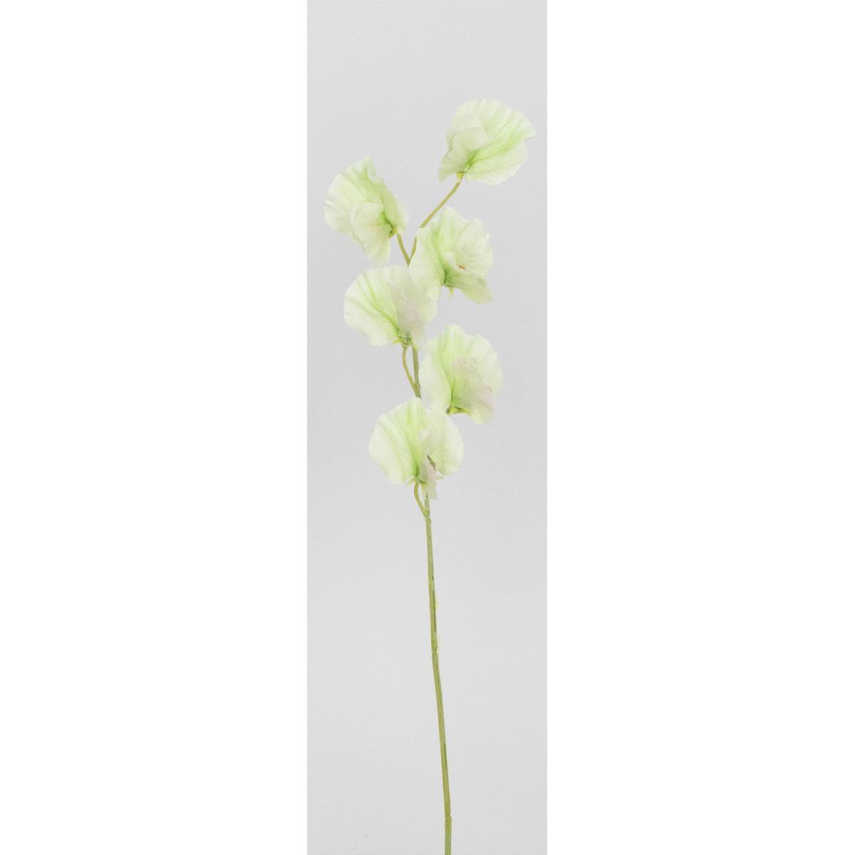 【造花】ビダヤコム/スイートピー グリーン/V26068-024G