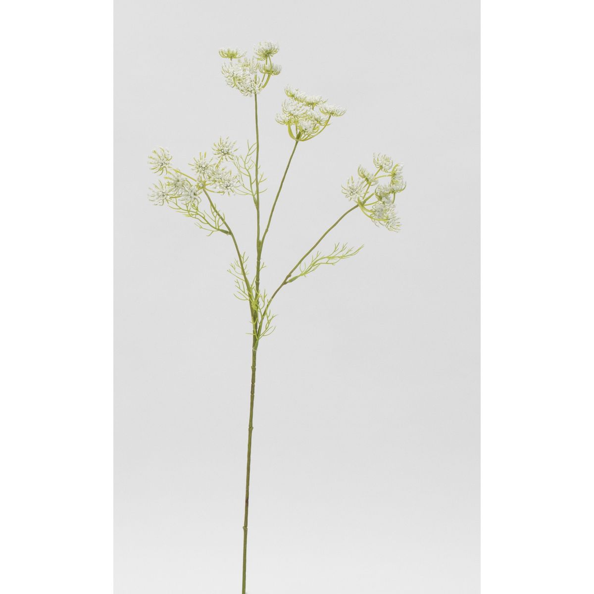 【造花】ビダヤコム/カラードレースフラワー ホワイト/V22131-001W