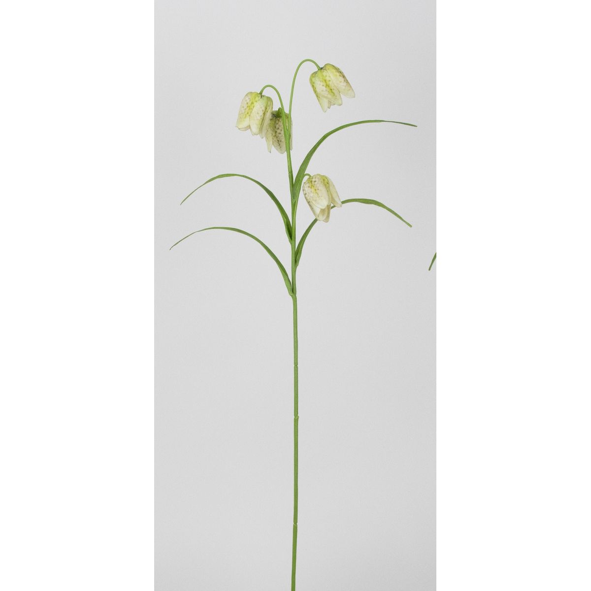 【造花】ビダヤコム/フリチラリア ライト/グリーン/V26038-023LT/G