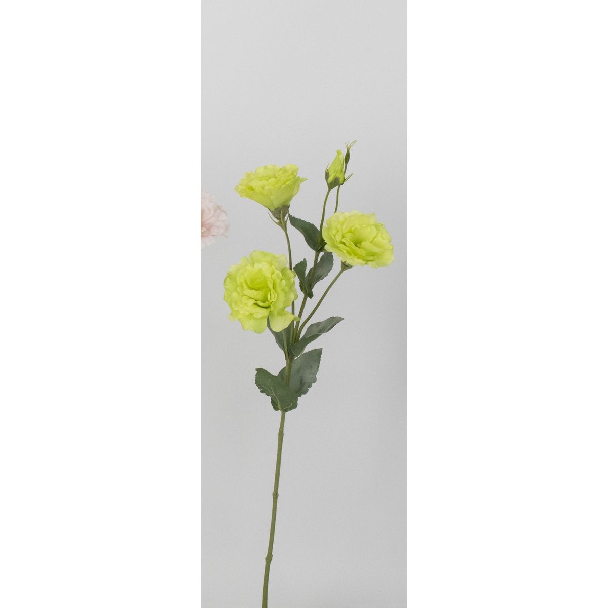 特価◎【造花】ビダヤコム/リシアンサス グリーン/V25080-024G