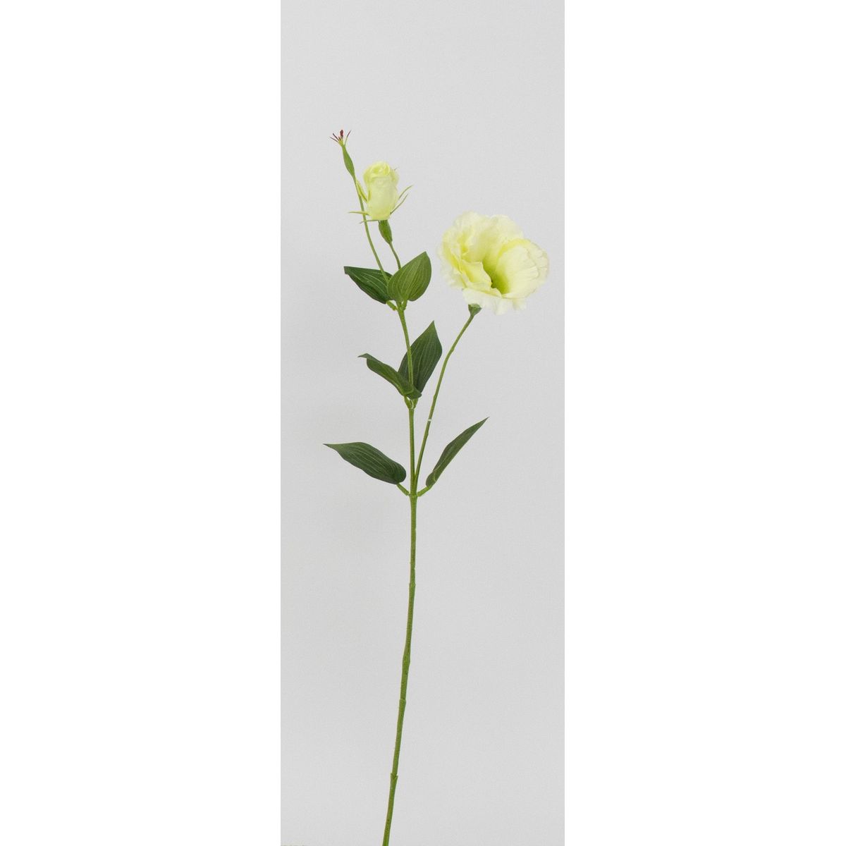 【造花】ビダヤコム/トルコキキョウ ライト/グリーン/V26093-023LT/G