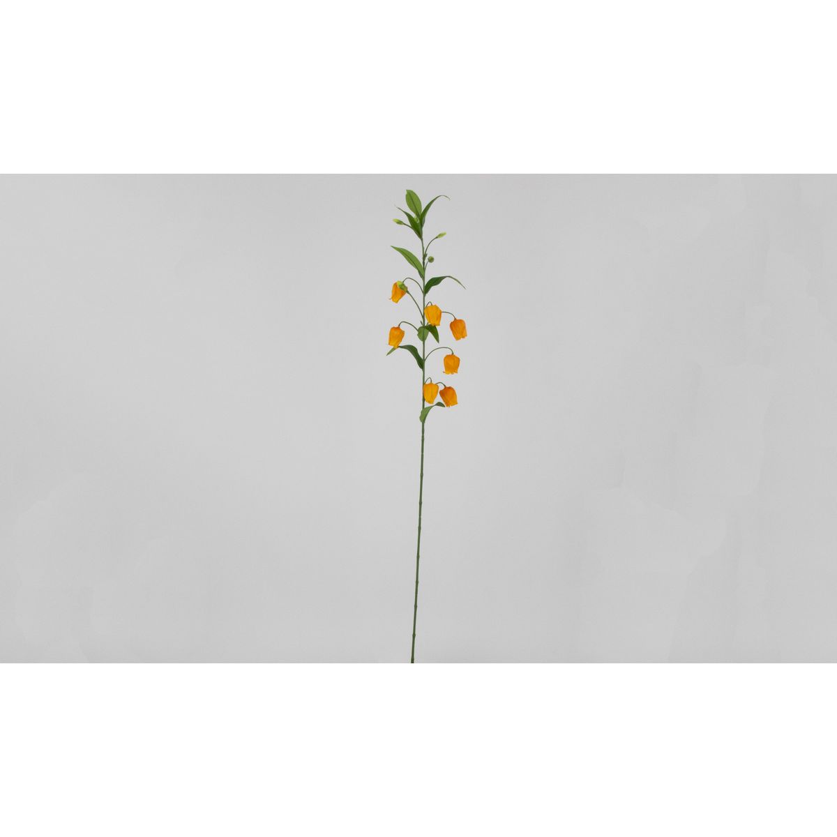 【造花】ビダヤコム/サンダーソニア オレンジ/V26013-009O