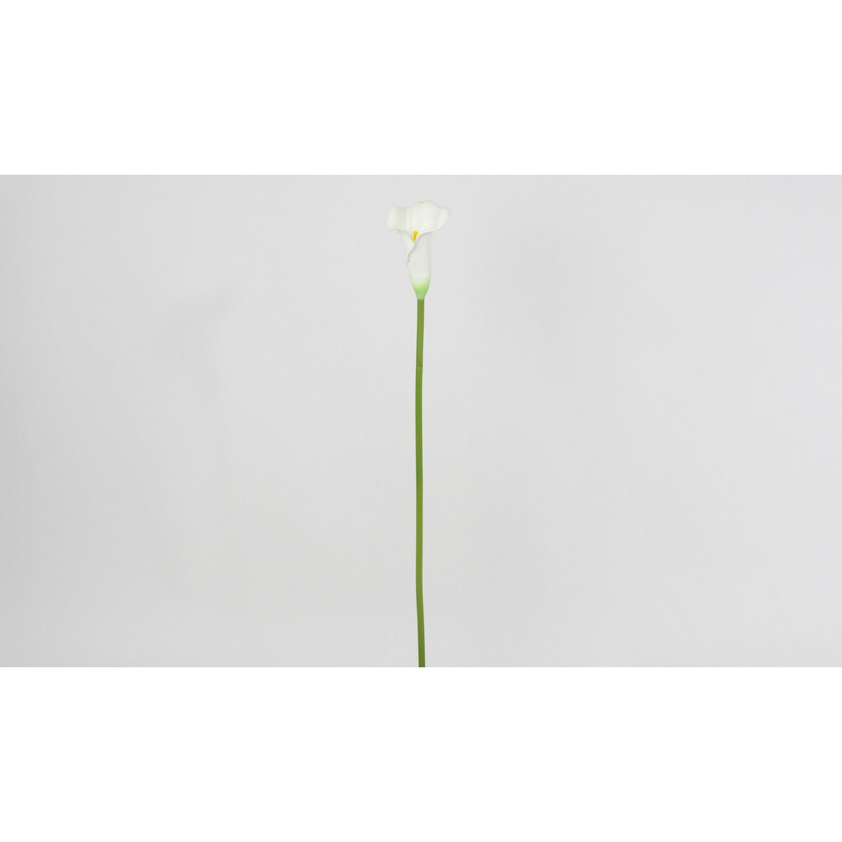 【造花】ビダヤコム/カラーリリー(M) ホワイト/V26048-001W
