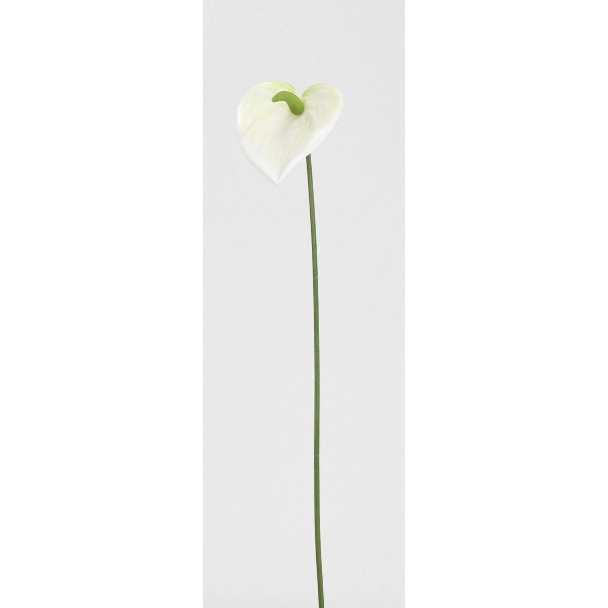 【造花】ビダヤコム/アンスリウム ホワイト/グリーン/V26012-272W/G