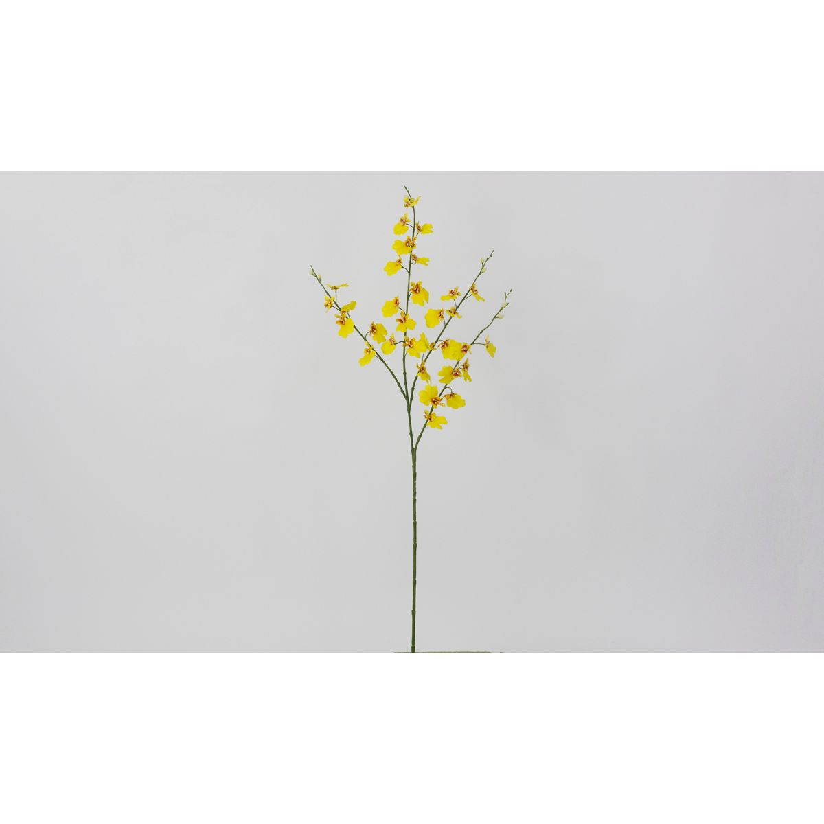 【造花】ビダヤコム/オンシジウム イエロー/V26024-004Y