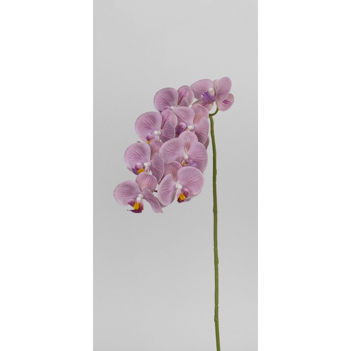 特価◎【造花】ビダヤコム/ココファレノプシス ラベンダー/V26086-011L