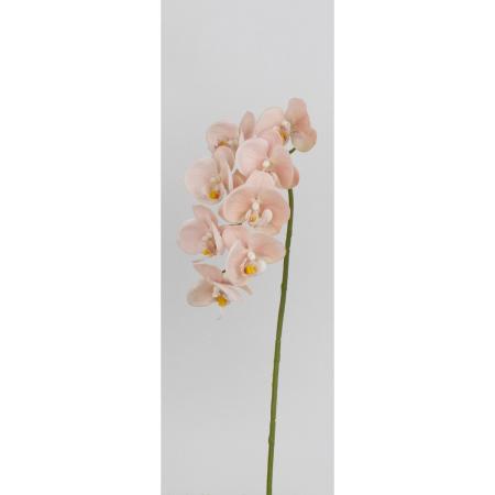 特価◎【造花】ビダヤコム/ココファレノプシス コーラル/V26086-067COR