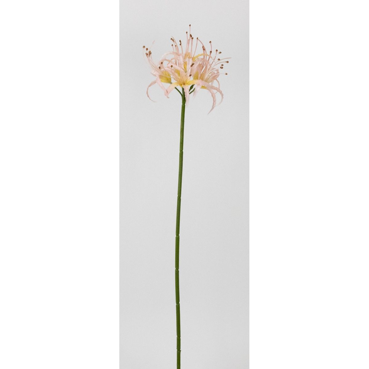 【造花】ビダヤコム/ネリネリリー ピンク/V26030-002P