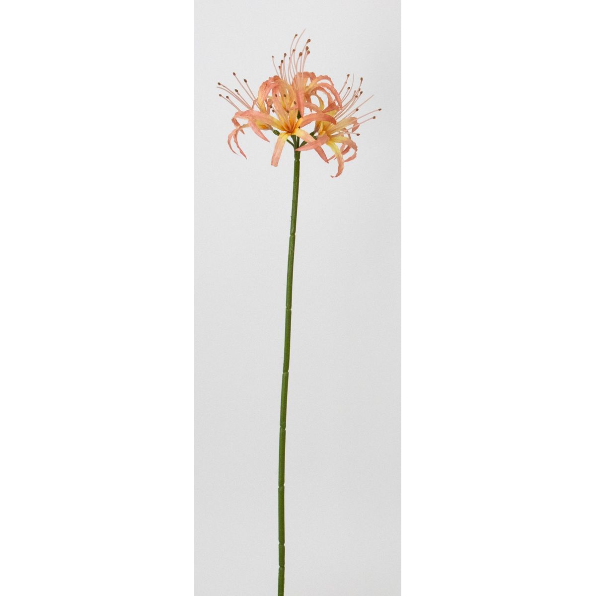 【造花】ビダヤコム/ネリネリリー ピーチ/V26030-006PEA