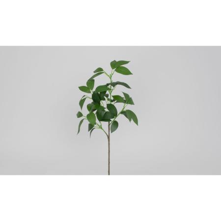 【造花】ビダヤコム/シキビ グリーン/V26066-024G