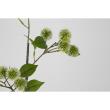 特価◎【造花】ビダヤコム/若栗枝 グリーン/V26058-024G