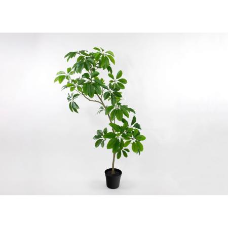 【人工観葉植物】ビダヤコム/Planeco シェフレラポット(M) グリーン/VR26003-024G