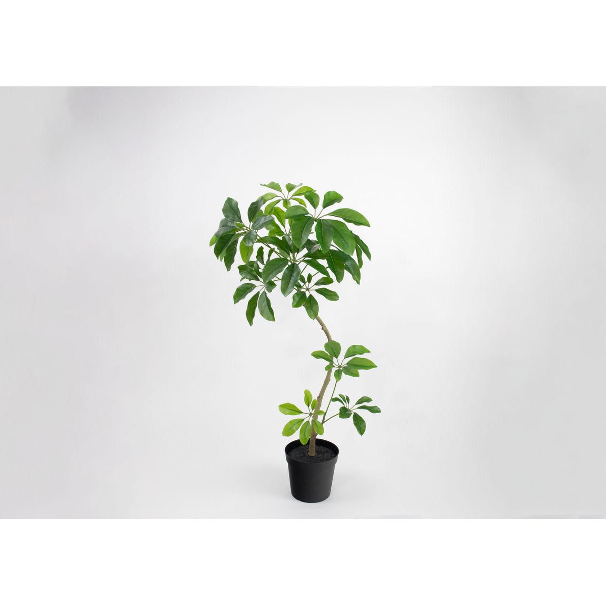 【人工観葉植物】ビダヤコム/Planeco シェフレラポット(S) グリーン/VR26004-024G