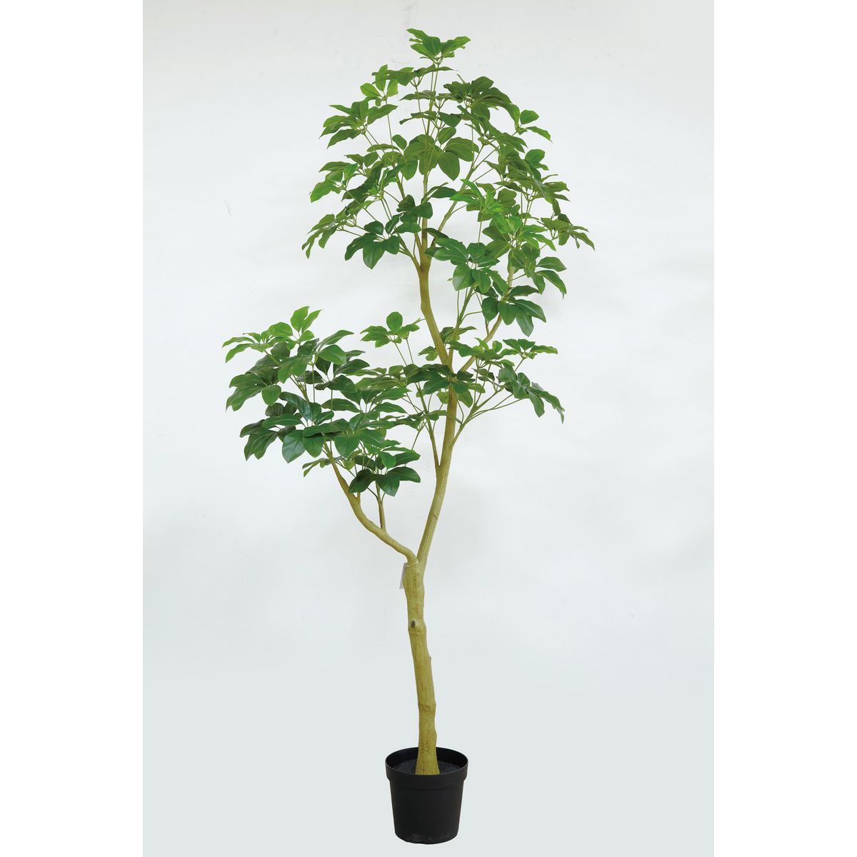 特価◎【直送】【人工観葉植物】ビダヤコム/Planeco シェフレラポットXL/VR26019-024G※返品代引キャンセル不可