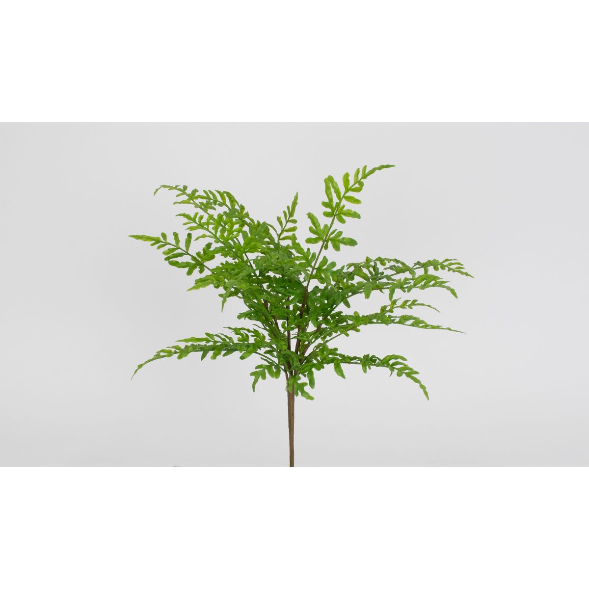 【造花】ビダヤコム/ポリポディウムブッシュ グリーン/V26028-024G