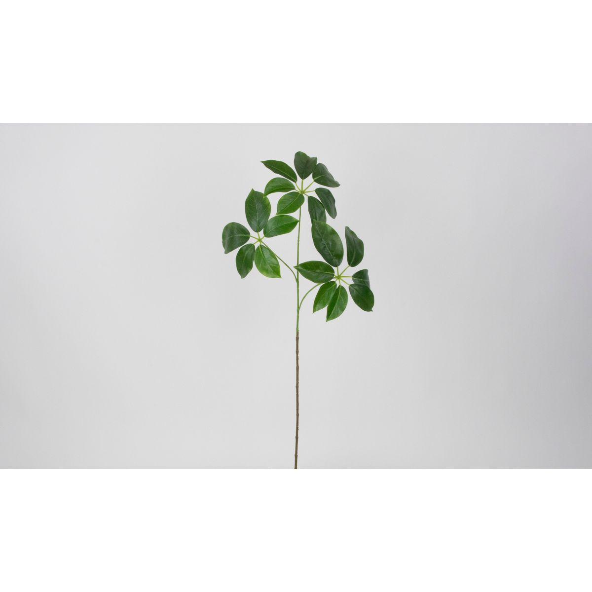 【造花】ビダヤコム/シェフレラ グリーン/V26023-024G