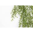 【造花】ビダヤコム/デピーナリーフバイン グリーン/V26032-024G