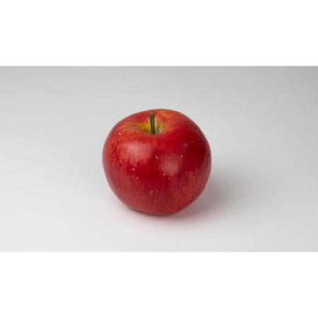 特価◎【造花】ビダヤコム/アップル レッド/V26094-003R